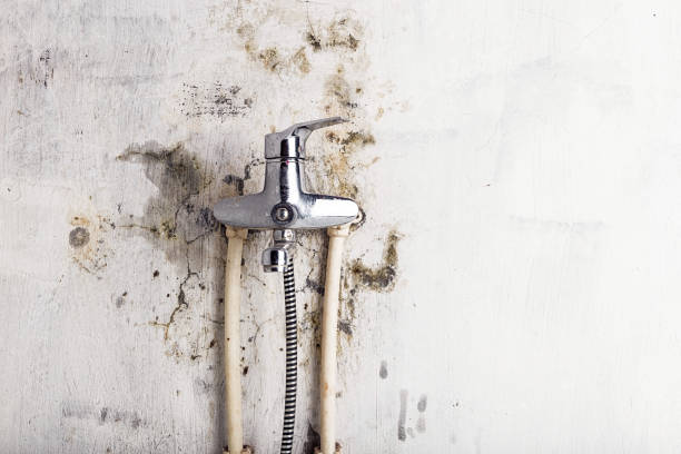 Best Mold Testing  in Fredericksburg, IA