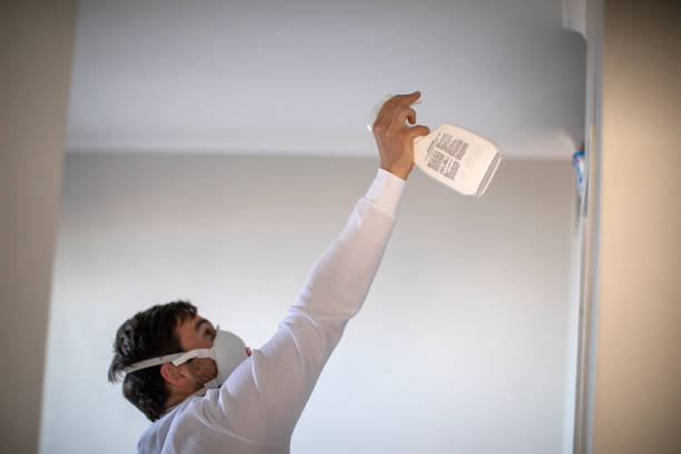 Best Emergency Mold Removal  in Fredericksburg, IA
