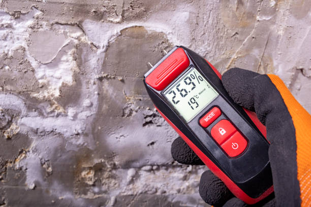 Best Mold Remediation  in Fredericksburg, IA