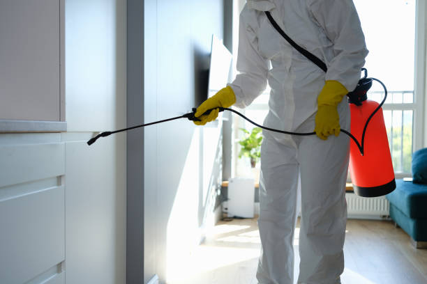 Mold Removal and Inspection in Fredericksburg, IA