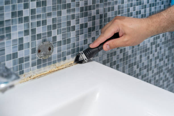 Best Mold Removal and Inspection  in Fredericksburg, IA