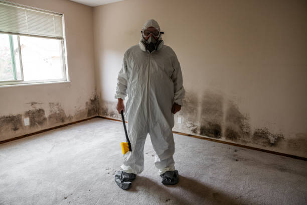 Best Same-Day Mold Removal  in Fredericksburg, IA